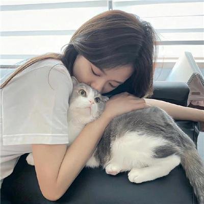 新贵 第三季